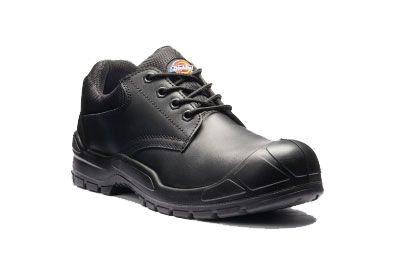 GFP002 SAFETY SHOE-S